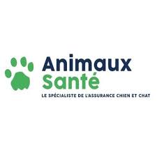Agence digitale de Traffic Management et Growth Hacking à Lille | Campel's & Co